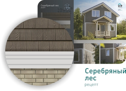 Серебряный лес